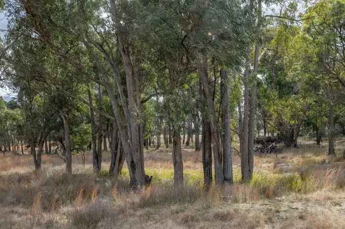 Acreage For Sale in Southern Downs Regional, Queensland