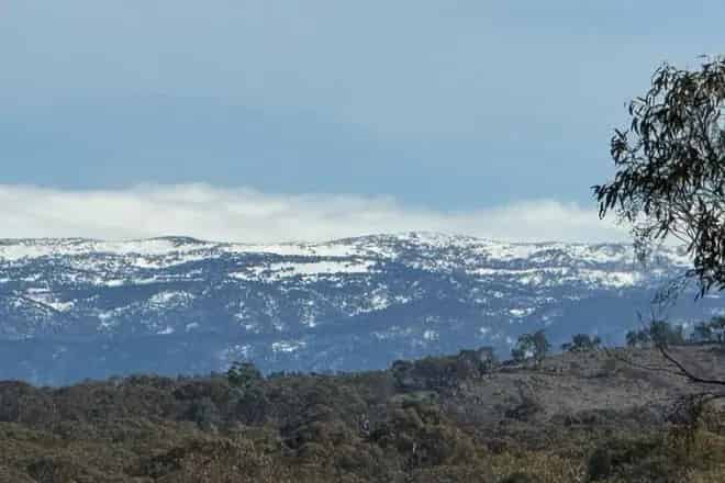 Land For Sale , Snowy Monaro Regional Council, New South Wales