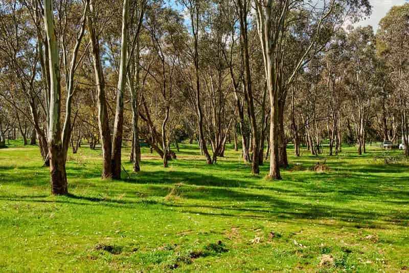 Buy Land in Heathcote with Great Potential for Residential Use