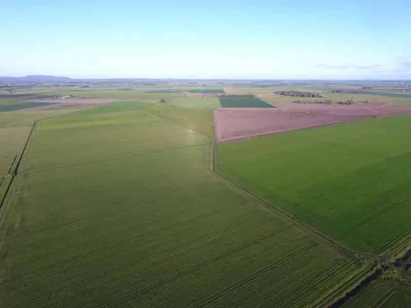 Buy Rural Property Mid Richmond River Area with Rice and Cane Growing