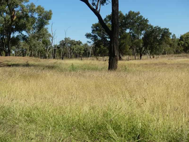 "Speculation", Jericho.  A Safe Breeding Property