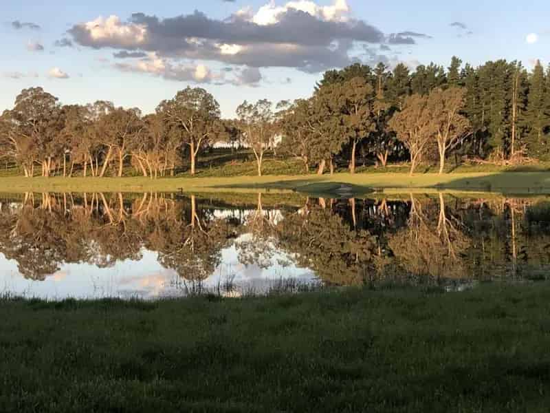 Buy rural property in Coonawarra with stunning lifestyle opportunities
