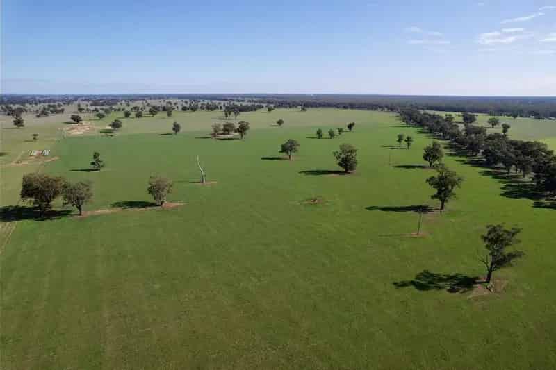 For Sale Mixed Farming and Grazing Property in Riverina Region NSW
