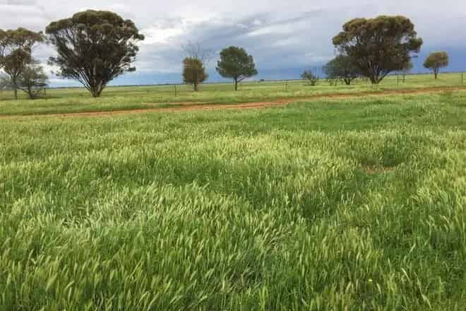 Rural property For Sale , Shire of Gannawarra, Victoria