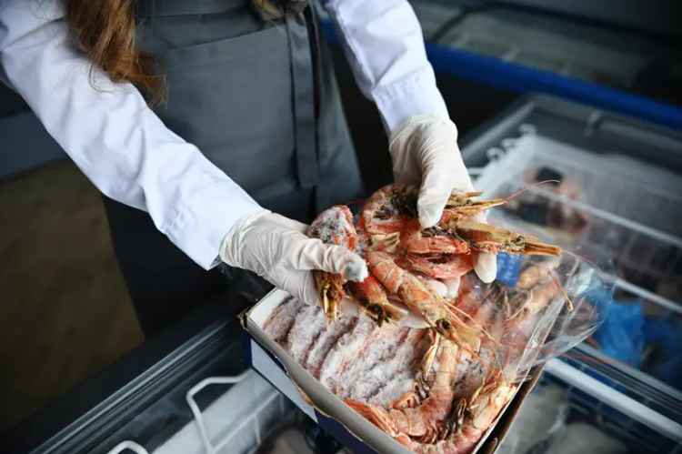 Buy Seafood Retail Business in Sunshine Coast with Proven Growth