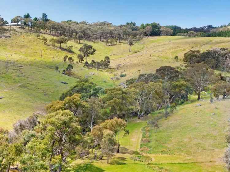 Lot 12 - Woodfield Hills Bywong